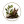 Earthy & Vegetal