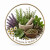 Aromatic & Herbal