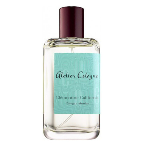 Citrus Reverie