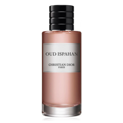 Isfahan Rose