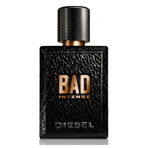 Leather Rebellion · Intense