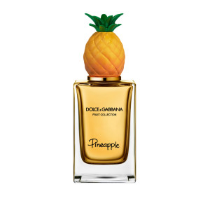 Tropical Summit