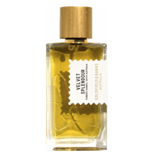 Luxe Embrace