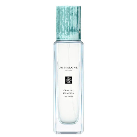 Petal Compass · Cologne