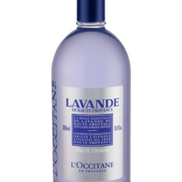 Legatum · Cologne