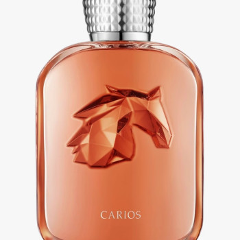 Erriapus
