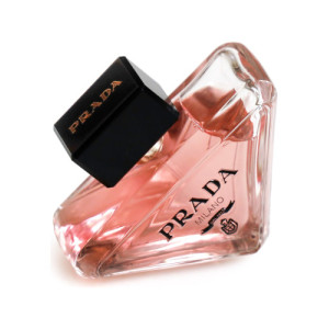 Paradox Silk
