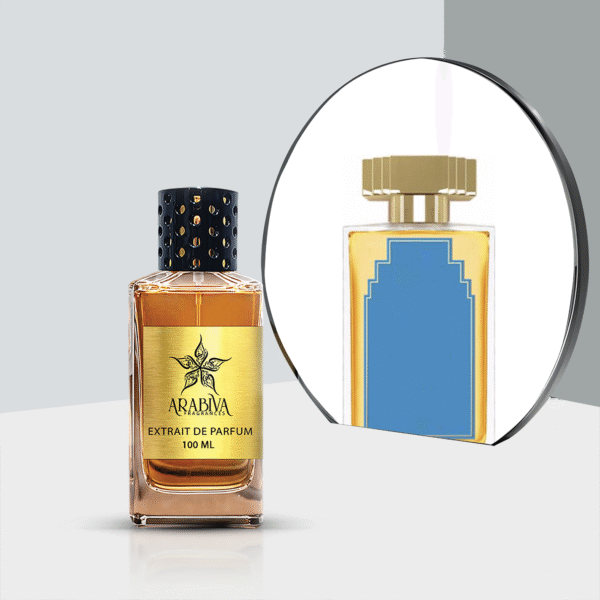 أرابيفا بيير دي فيلاي رقم 6