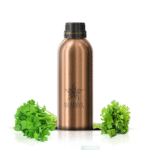 Kilantro Perfume Oil